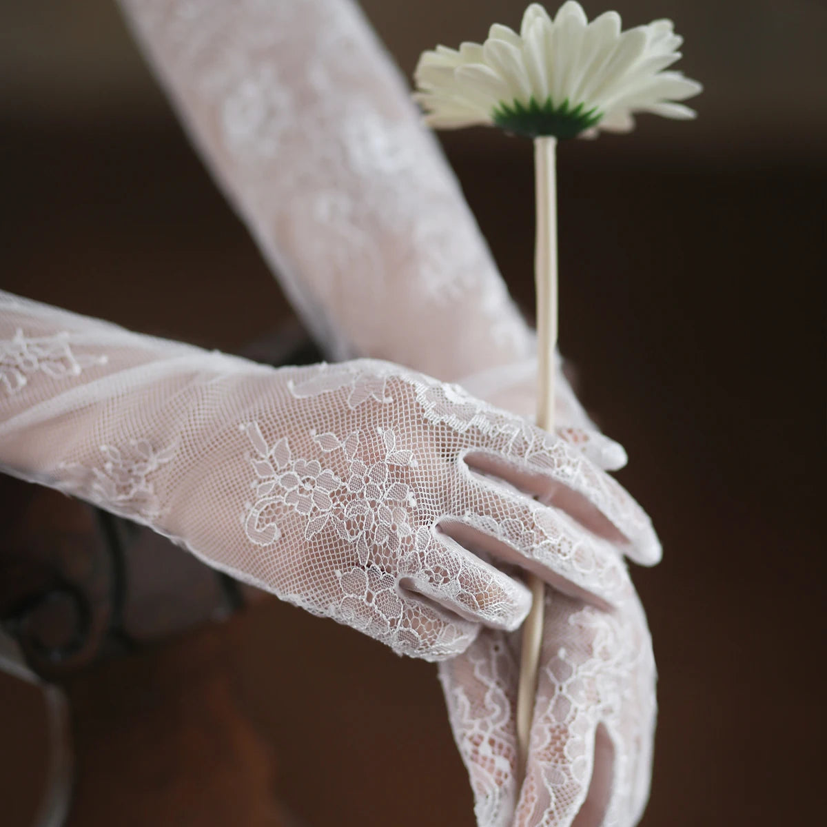 Sheer Lace Opera Gloves.